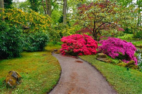 Path In Japanese Garden - Stock Photos | Motion Array