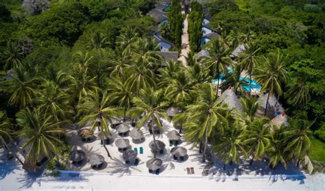 Things to do in Ukunda - Shanzu Beachfront