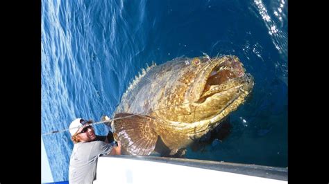 GOLIATH GROUPER!!! BEST SLOW MOTION FISHING ATTACKS VIDEO??? FAVORITE YOUTUBER OCEAN FISHING ...