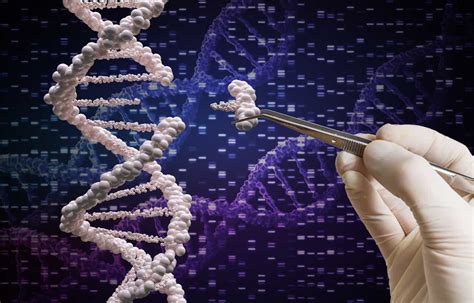 Crispr Therapeutics Stock's Continued Progress Warrants A Buy (CRSP ...