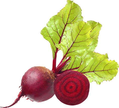 Download Beet PNG Image for Free | Beets health, Beets, Beetroot