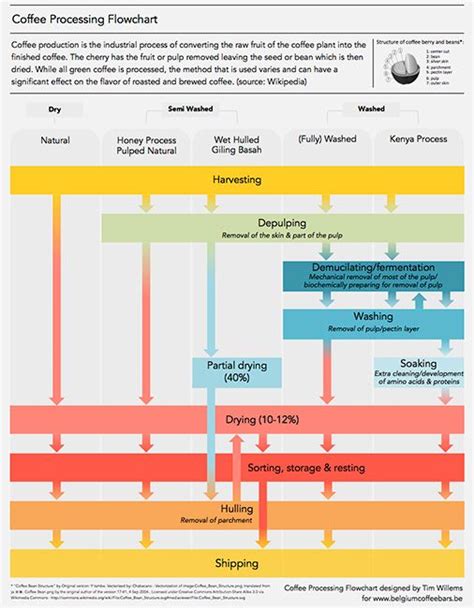 Belgium Coffee Bars | Coffee Processing Flowchart | Kopi, Minuman ...