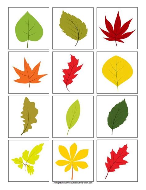 Leaf Color Matching (printable) - The Activity Mom | Leaf crafts, Leaf printables, Printable leaves