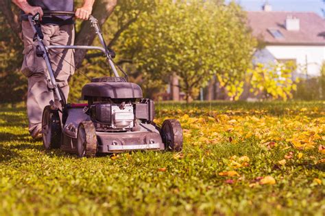 Lawn Maintenance: Common Question Answers | Eco Landscapes