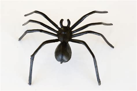Image of plastic toy spider | CreepyHalloweenImages