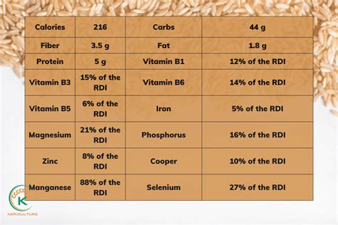 7 Interesting Differences Between Brown Rice and White Rice