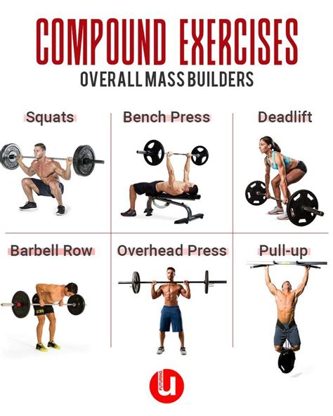 What Are Compound Movements Workout - WorkoutWalls