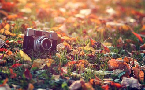 FREE 20+ Vintage Photography Desktop Wallpapers in PSD | Vector EPS