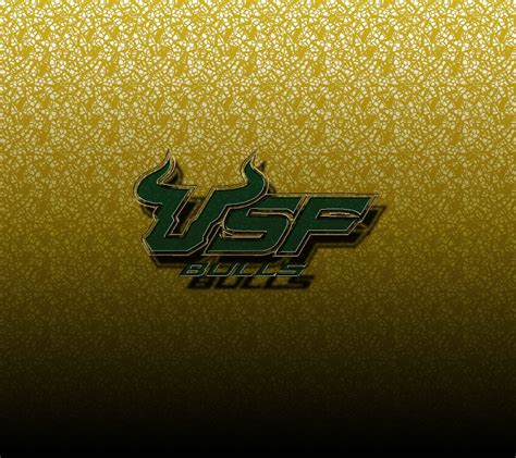 USF Wallpapers - Wallpaper Cave