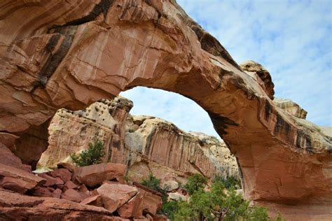 5 Fun Things to Do in Capitol Reef National Park - Tips for Family Trips