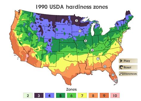 Have we warmed enough to plant that Zone 5 Japanese Maple? | Beds and Borders Landscape Design