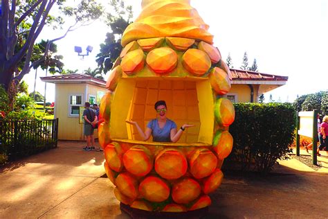 The World's Largest (Pineapple) Maze at Hawaii's Dole Plantation ...