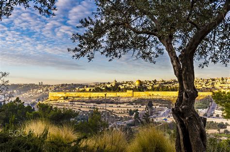 View Of Jerusalem From The Mount Of Olives