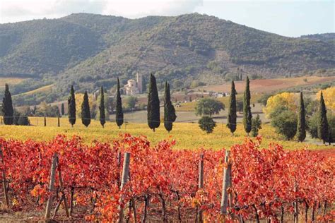 Tuscany in the fall: all you need to know for a perfect autumn trip | Mama Loves Italy