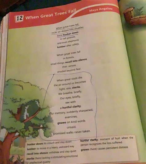 12 When Great Trees Fall Naya Ángelou When great trees fall. lions hunker..