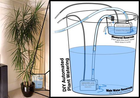 Automatic Plant Watering Device (simple Version) : 7 Steps - Instructables