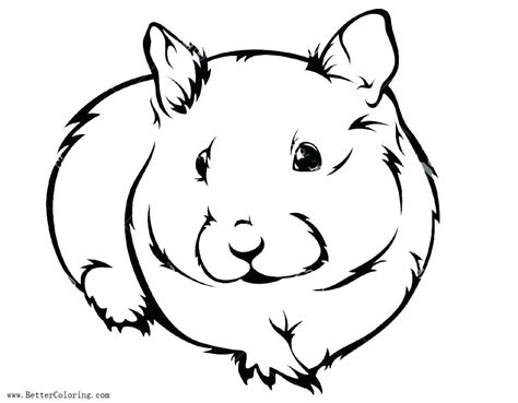 Collection of Gerbil clipart | Free download best Gerbil clipart on ...