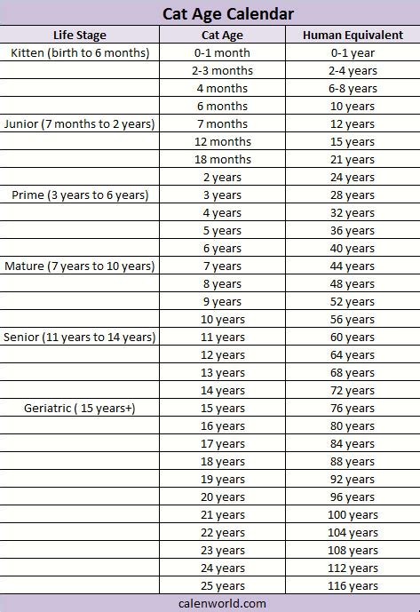 Cat Age Calendar | Cat Age Calculator | Cat Age Converter