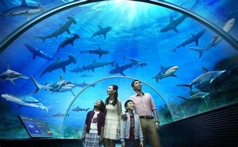 Underwater World Langkawi Ramadhan Promotion - SummerkruwBeasley