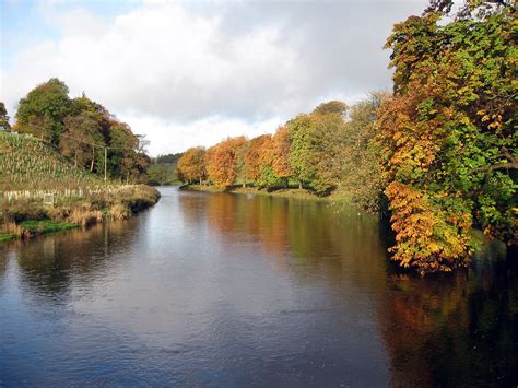 River Wharfe - Knaresborough Piscatorials