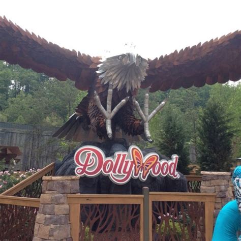 Wild Eagle - Dollywood