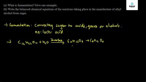 Lactic Acid Fermentation Equation