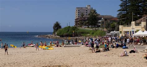 The ultimate suburb guide to Cronulla NSW