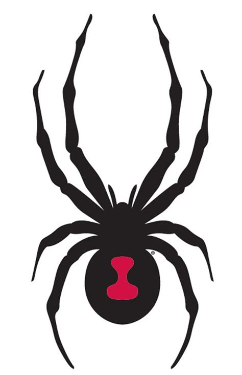 Spider Stencil | Halloween | Pinterest | Spider, Stencils and Black Widow