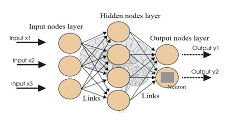 Types of Neural Networks in Machine Learning - Datatron