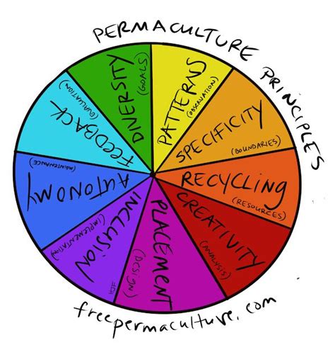 Permaculture Principles - Week 3 of our yearlong #freepermaculture course | Permaculture ...