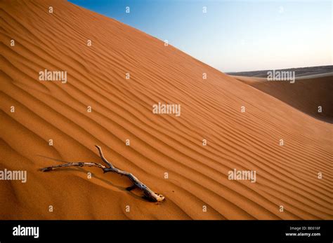 Wahiba Sands, Oman Stock Photo - Alamy