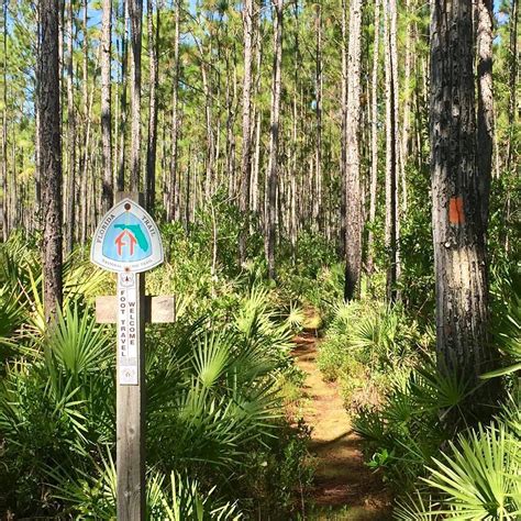 Five Tips for Hiking the Florida Trail | One Step Then Another