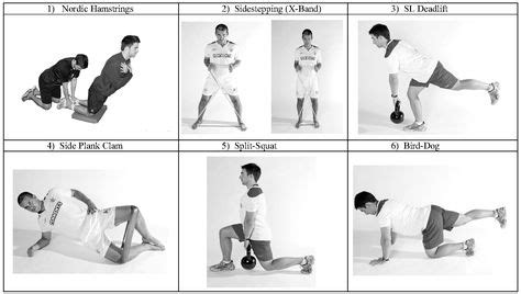 9 Best Eccentric hamstring exercises ideas | eccentric hamstring ...