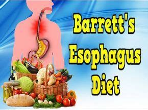 http://barretts-esophagus-cure.info-pro.co Barrett's Esophagus Diet ...