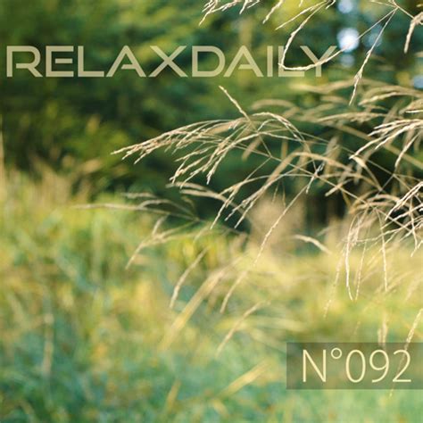 Stream N°092 - Relaxing Instrumental Music - piano, slow, good energy ...