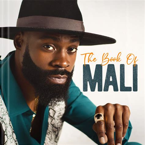 ‎The Book of Mali - Album by Mali Music - Apple Music