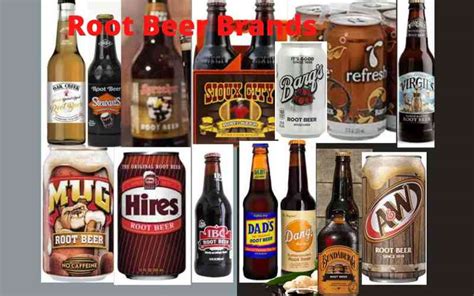 15 Best Most Popular Root Beer Brands in the World | 2023 -(Updated ...