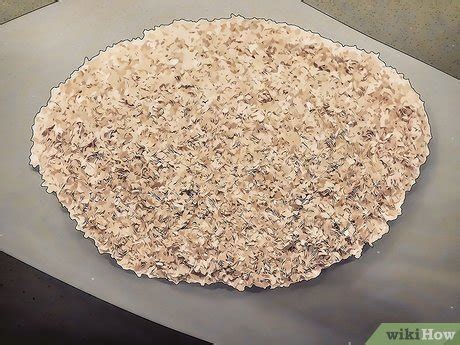 How to Breed Waxworms (with Pictures) - wikiHow