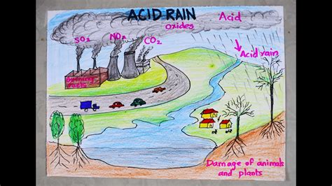 Acid Rain Formation For Kids