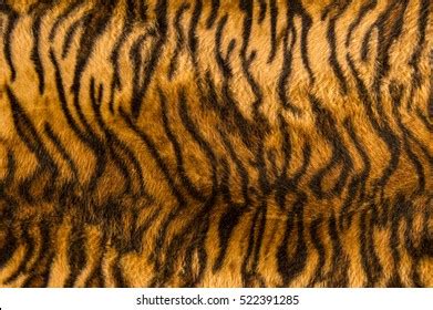 Beautiful Tiger Fur Pattern Texture Background Stock Photo 359419898 ...