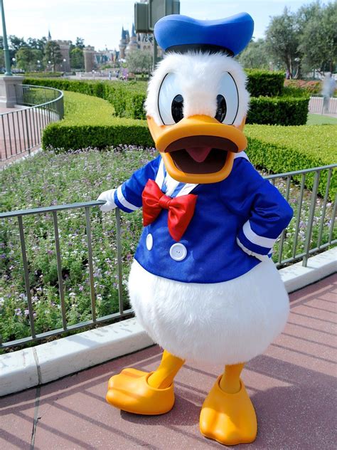 Donald Duck:) Disney Diy, Disney Magic, Walt Disney, Disney Best Friends, Mickey And Friends ...