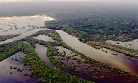 Brazil's Rio Negro river registers lowest water level since 1902