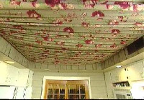 Fabric ceiling ideas | the link below shows an inexpensive cable system to hang fabric to ...