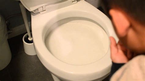 How To Unblock A Toilet With Baking Soda And Vinegar / 7 Simple But ...