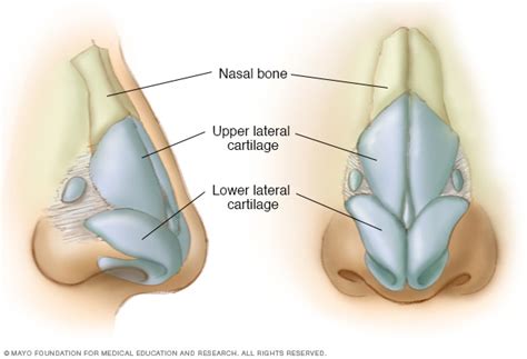 St. Elizabeth Healthcare - Procedure