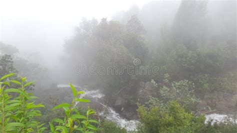 Kodaikanal Hill Station Tamilnadu India Stock Photo - Image of station, hill: 259328820