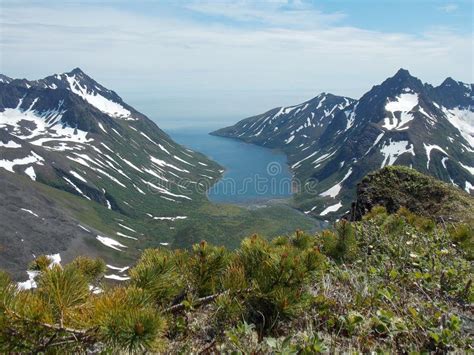 The Wildlife of Kamchatka. Kamchatka Mountains. Kamchatka Peninsula ...