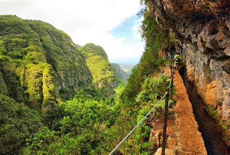 Patrimonio de la Humanidad: Bosque de laurisilva de Madeira. Portugal