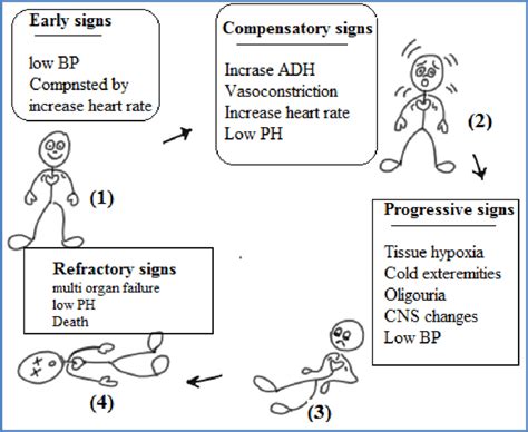 Stages Of Shock Symptoms