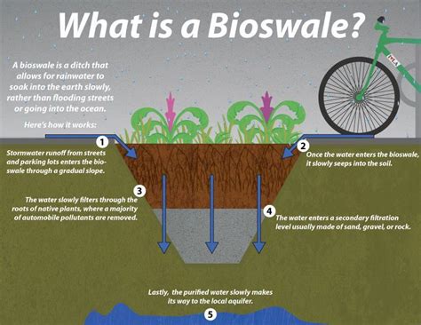 What is a bioswale? | Stormwater Mitigation & Green Design | Pinterest ...